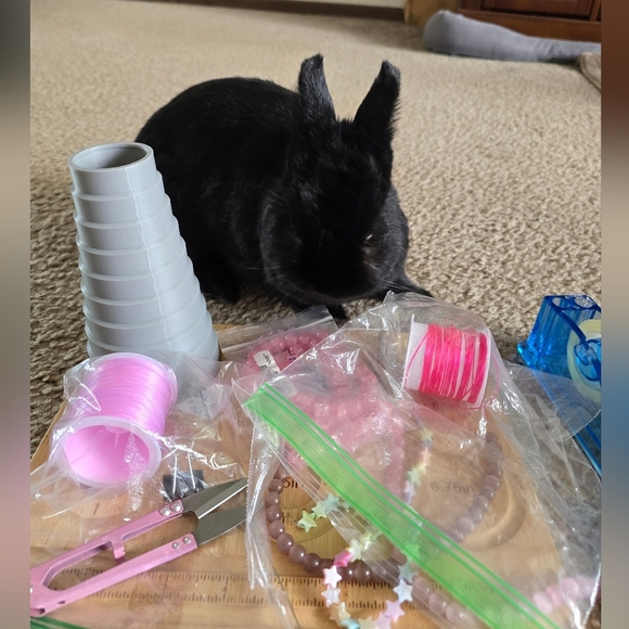 10mm Austrailian Zebra Jasper - Picture 7 of 9